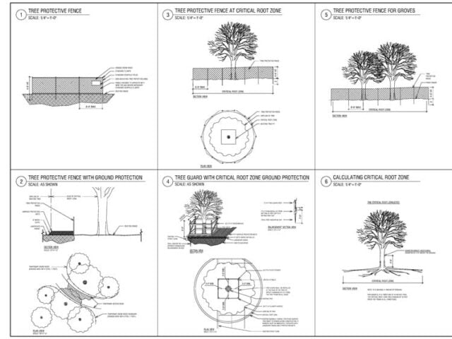 street-tree-page-3